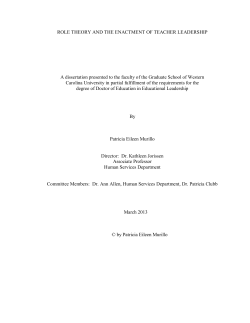 Role theory and the enactment of teacher leadership