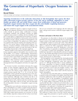 The Generation of Hyperbaric Oxygen Tensions in Fish