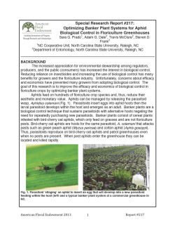 Optimizing Banker Plant Systems for Aphid Biological Control in