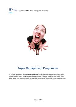 The Aggression Cycle and the Anger Meter