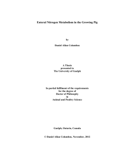 Enteral Nitrogen Metabolism in the Growing Pig