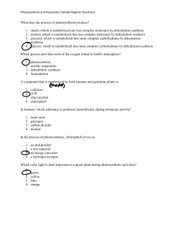 Photosynthesis and Respiration Sample Regents Questions What