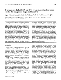 Diverse groups of plant RNA and DNA viruses share related