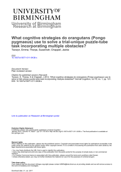 University of Birmingham What cognitive strategies do orangutans