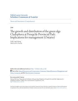 The growth and distribution of the green alga Cladophora at Presqu