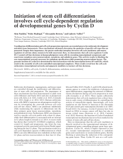 Initiation of stem cell differentiation involves cell cycle