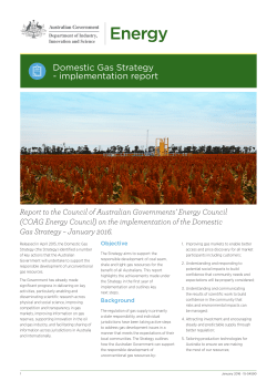 Domestic Gas Strategy - implementation report