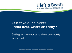 2a Native dune plants &ndash; who lives where and why?