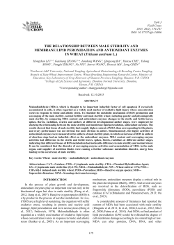 THE RELATIONSHIP BETWEEN MALE STERILITY AND