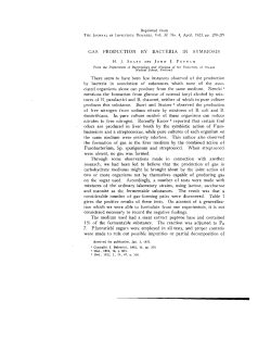 gas production by bacteria in symbiosis - Scholars` Bank