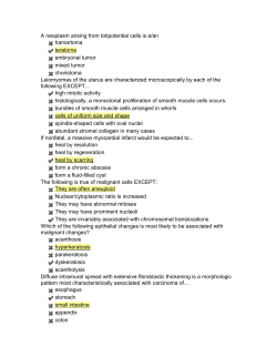 A neoplasm arising from totipotential cells is a/an