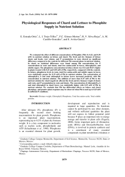 Physiological Responses of Chard and Lettuce to Phosphite Supply