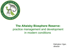The Altaisky Biosphere Reserve