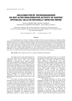 helicobacter sp. microorganisms do not alter proliferative activity of
