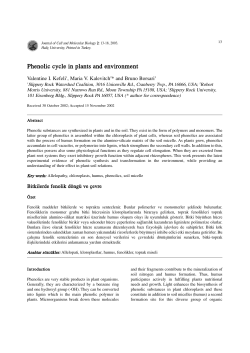 Phenolic cycle in plants and environment