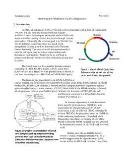 Amanda Luong May 2017 Identifying the Mechanism of LIN52