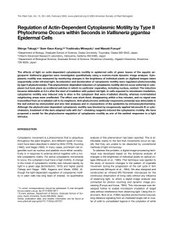 Regulation of Actin-Dependent Cytoplasmic Motility by