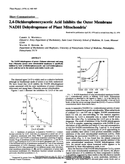 2,4-Dichlorophenoxyacetic Acid Inhibits the Outer Membrane NADH