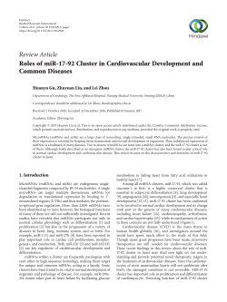Roles of miR-17-92 Cluster in Cardiovascular Development and