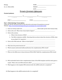 Protein Synthesis Webquest
