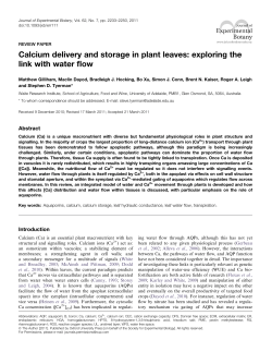 Calcium delivery and storage in plant leaves