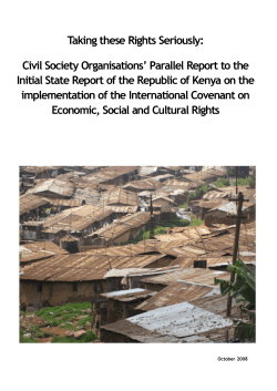 Taking these Rights Seriously: Civil Society Organisations` Parallel