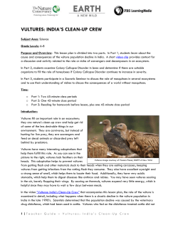 INDIA`S CLEAN-UP CREW Student Worksheet Part 1: Scavengers