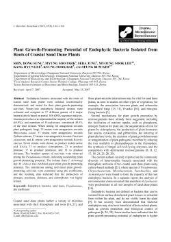 Plant Growth-Promoting Potential of Endophytic Bacteria Isolated