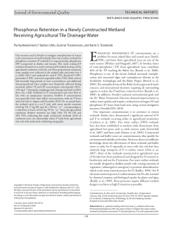 Phosphorus Retention in a Newly Constructed Wetland Receiving