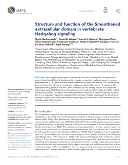 Structure and function of the Smoothened extracellular domain in