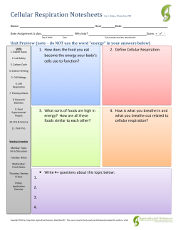 Notesheet