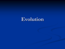 Evolution, Taxonomy and
