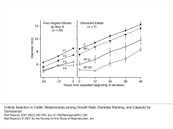 Follicle Selection in Cattle: Relationships among Growth Rate