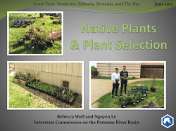 Plant Selection - Interstate Commission on the Potomac River Basin