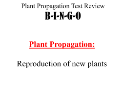 Plant Reproduction B-I-N-G-O