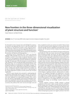 New frontiers in the three-dimensional visualization of plant structure