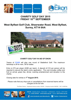 Team Name - The Eikon Charity