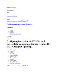 Cx43 phosphorylation on S279/282 and intercellular communication