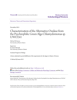 Characterization of the Alternative Oxidase from the Psychrophilic