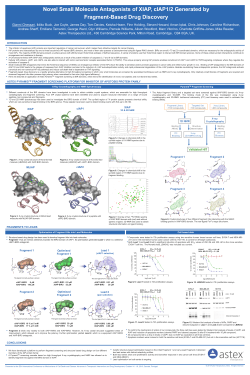 Novel Small Molecule Antagonists of XIAP, cIAP1/2 Generated by