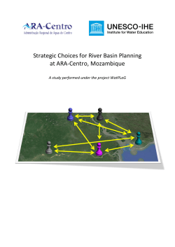 Strategic Choices for River Basin Planning at ARA