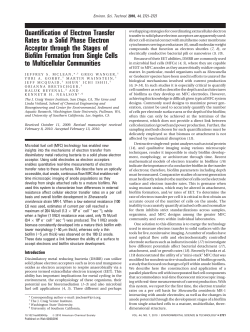 Quantification of Electron Transfer Rates to a Solid Phase Electron