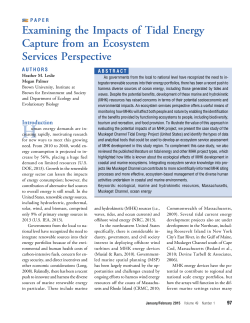 Examining the Impacts of Tidal Energy Capture from an Ecosystem