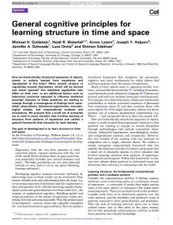 General cognitive principles for learning structure in time and space