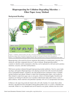 Bioprospecting Background