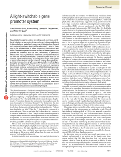 A light-switchable gene promoter system