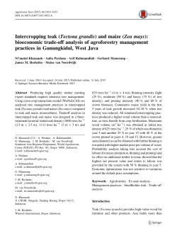 Intercropping teak (Tectona grandis) and maize (Zea mays