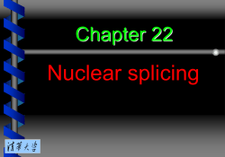 22.4 The spliceosome contains snRNAs
