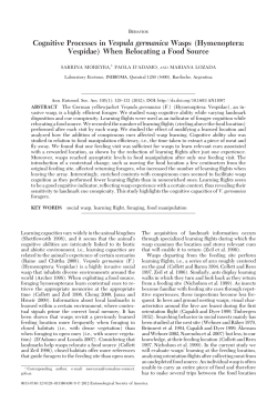 Cognitive Processes in Vespula germanica Wasps