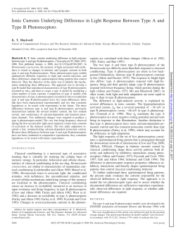 Ionic Currents Underlying Difference in Light Response Between